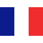 Crise futuriste: Guerre civile française de 2050