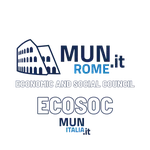 Economic and Social Council (ECOSOC)